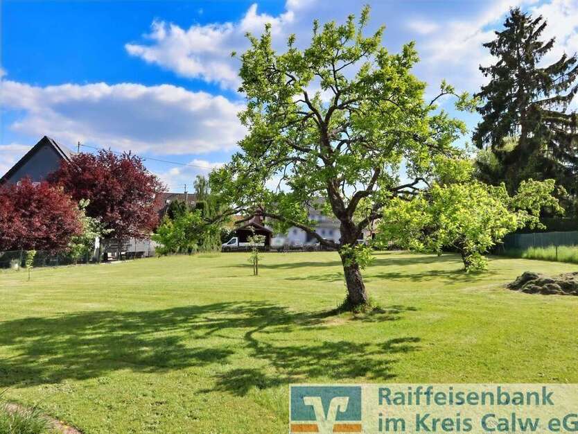 Grundstück zu verkaufen in Calw 350.000 € 1260 m²