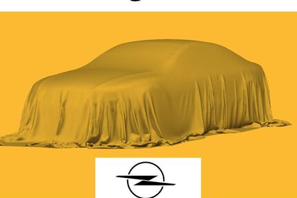 Opel Vivaro 39.100 km 23.890 &euro; Pforzheim 75175