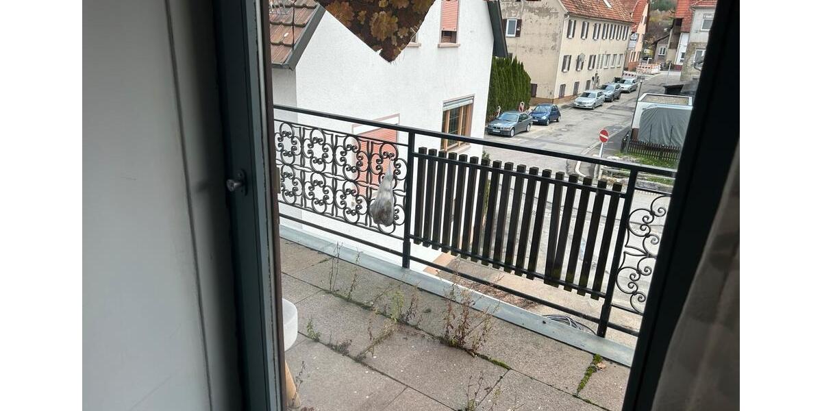 Etagenwohnung Ammerbuch - 5 Zimmer, 140 m&sup2;, 1.000&euro; | Angebot:24299498