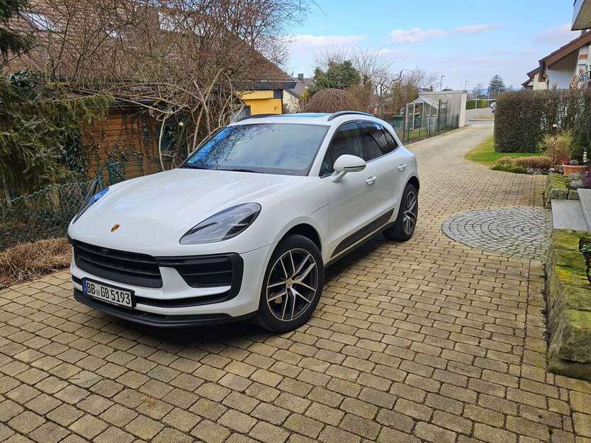 Macan
