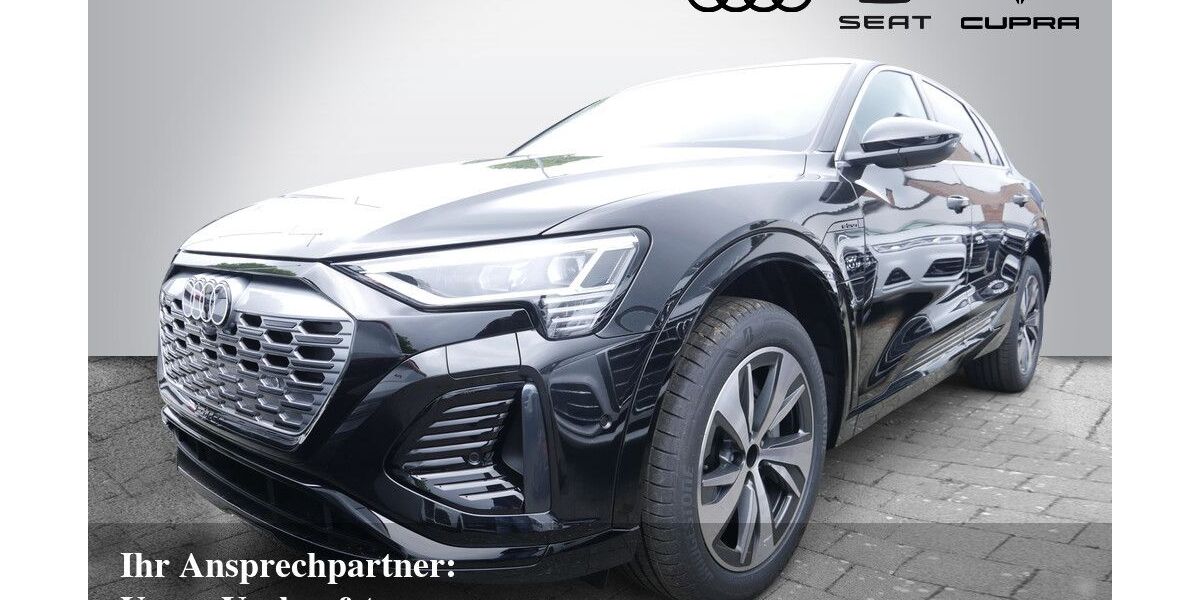 Audi Q8 e-tron 12.500 km 45.880 &euro; Bietigheim-Bissingen 74321