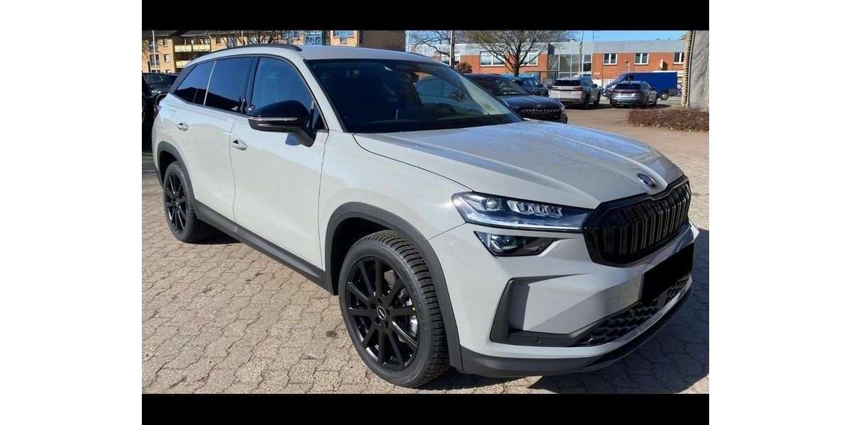 Skoda Kodiaq 31.327 km 20.000 &euro; Nufringen 71154
