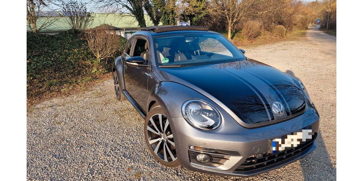 VW Beetle 64.000 km 21.500 &euro; Ludwigsburg 71636
