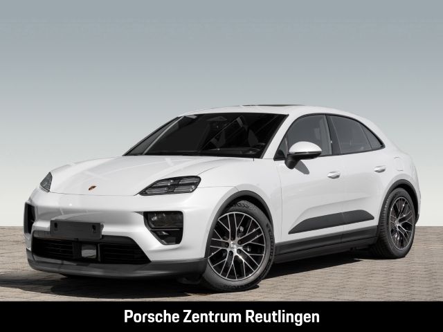 Macan