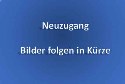 Seat Leon 148.000 km 13.700 &euro; Sindelfingen 71065