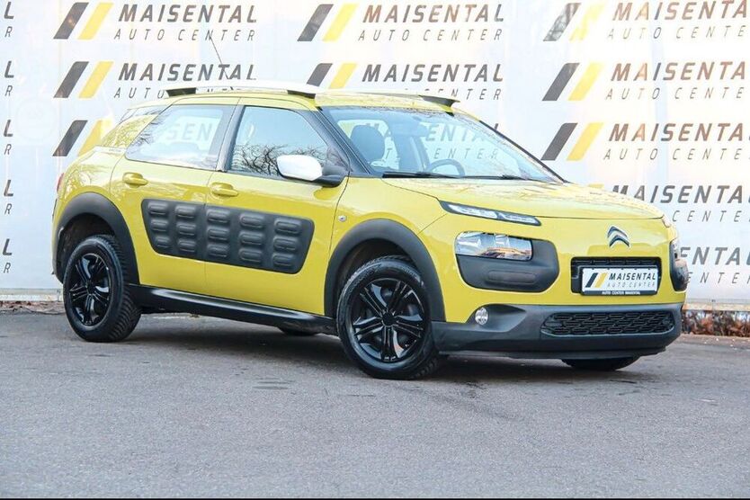 C4 Cactus