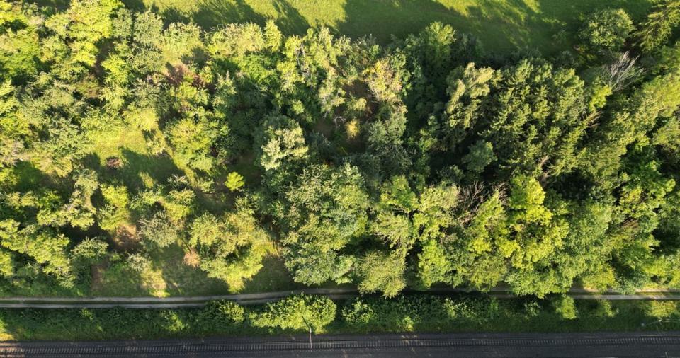 Grundstück Nürtingen - 24.000&euro; | Angebot:24551327