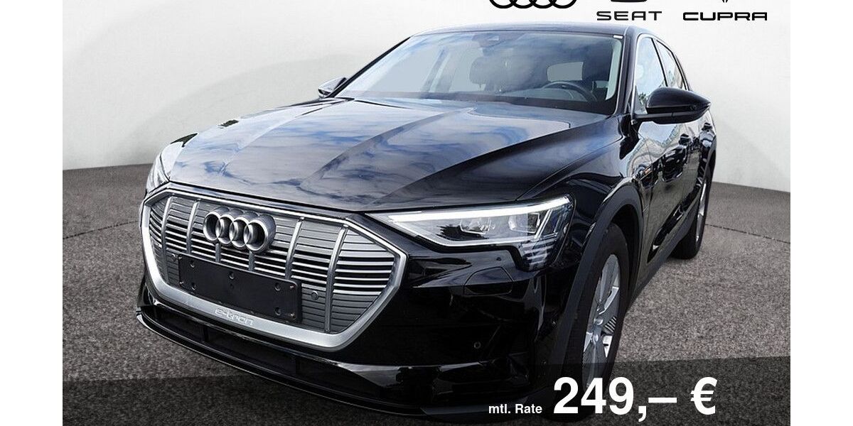 Audi e-tron 40.850 km 26.770 &euro; Bietigheim-Bissingen 74321