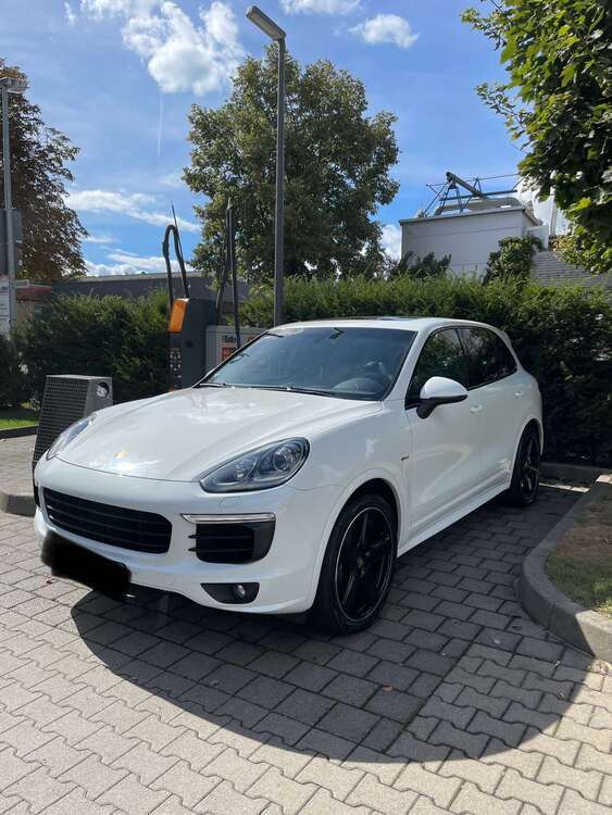 Cayenne