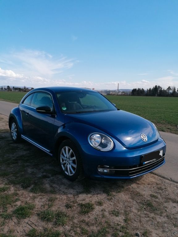 Beetle