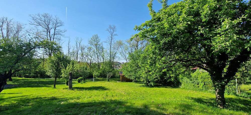 Grundstück zu verkaufen in Stuttgart 49.000 € 749 m²
