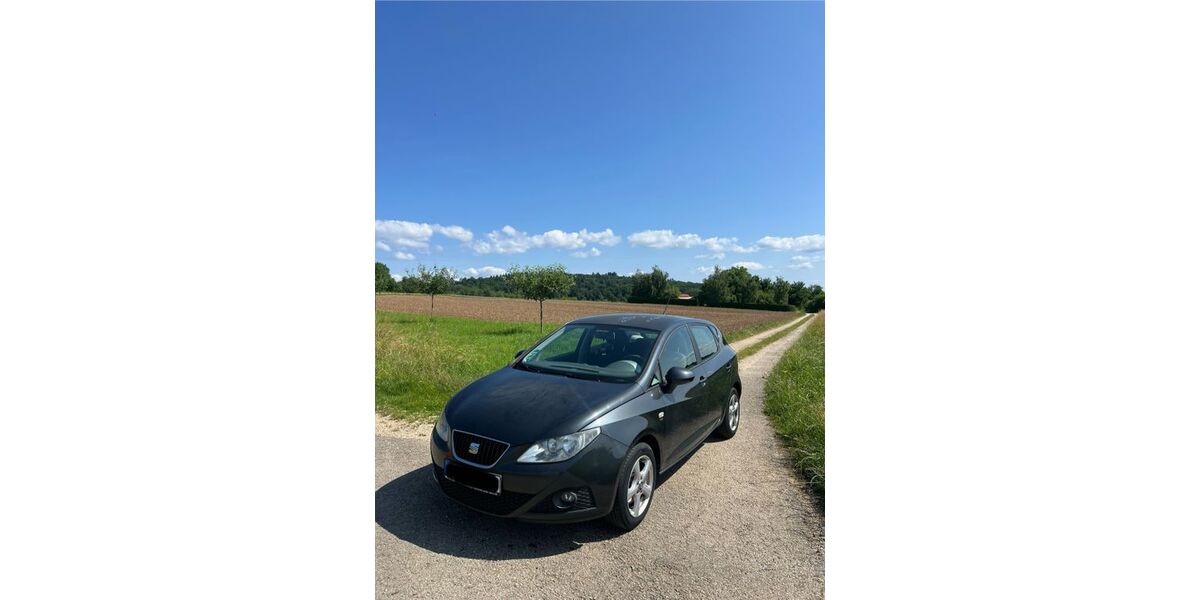 Seat Ibiza 156.000 km 2.900 &euro; Oberboihingen 72644