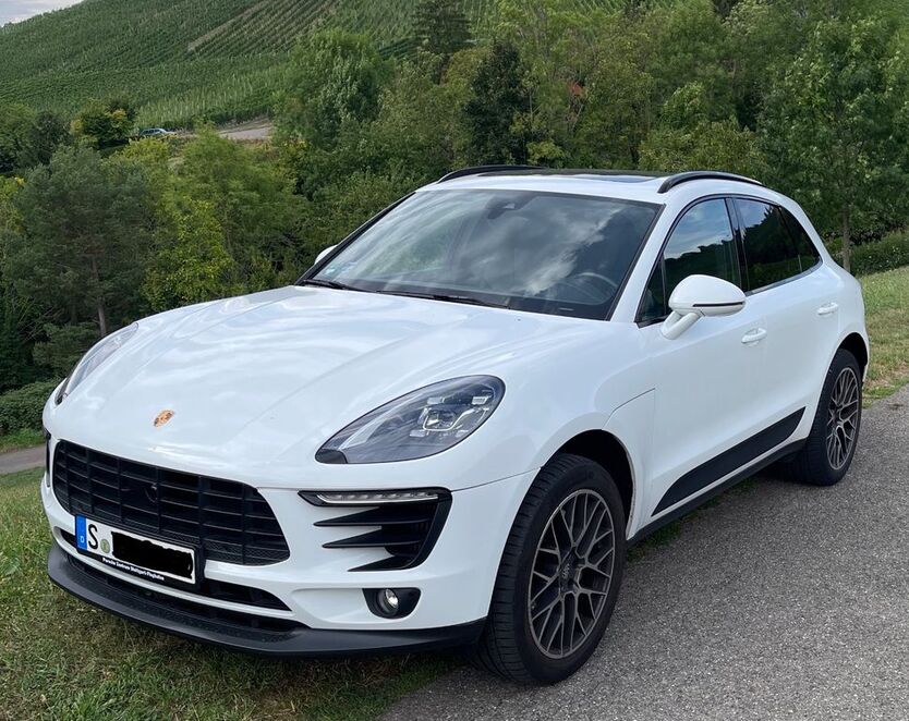 Macan