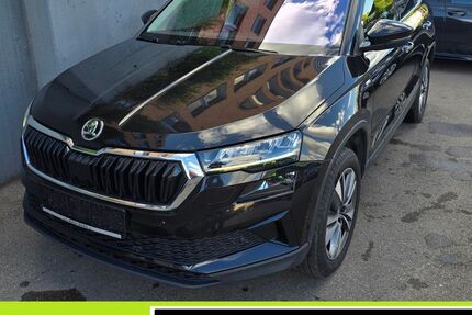 Skoda Karoq 142.221 km 17.770 &euro; Waiblingen 71332