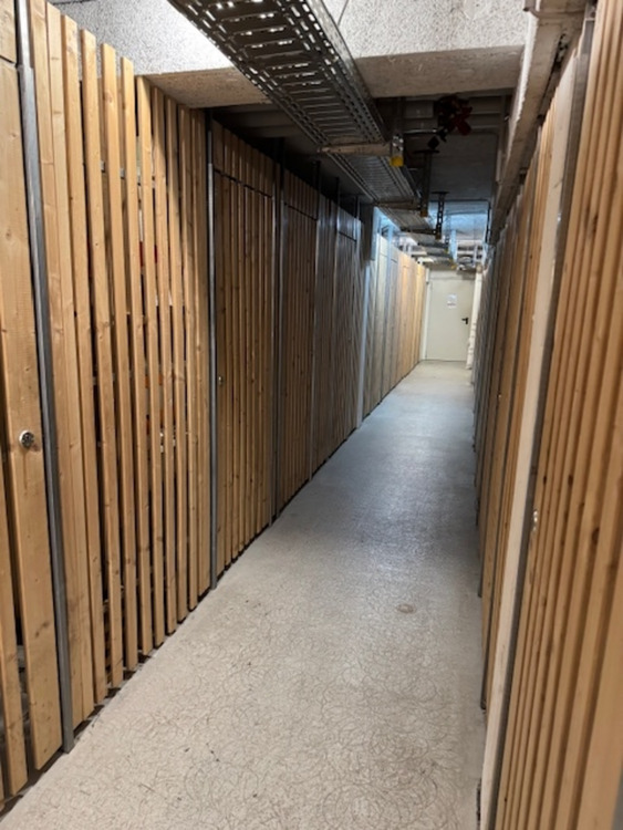 2 Zimmer Wohnung in ruhiger Lage mit viel Grün