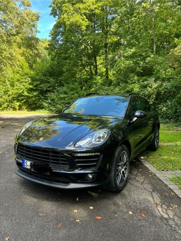 Macan
