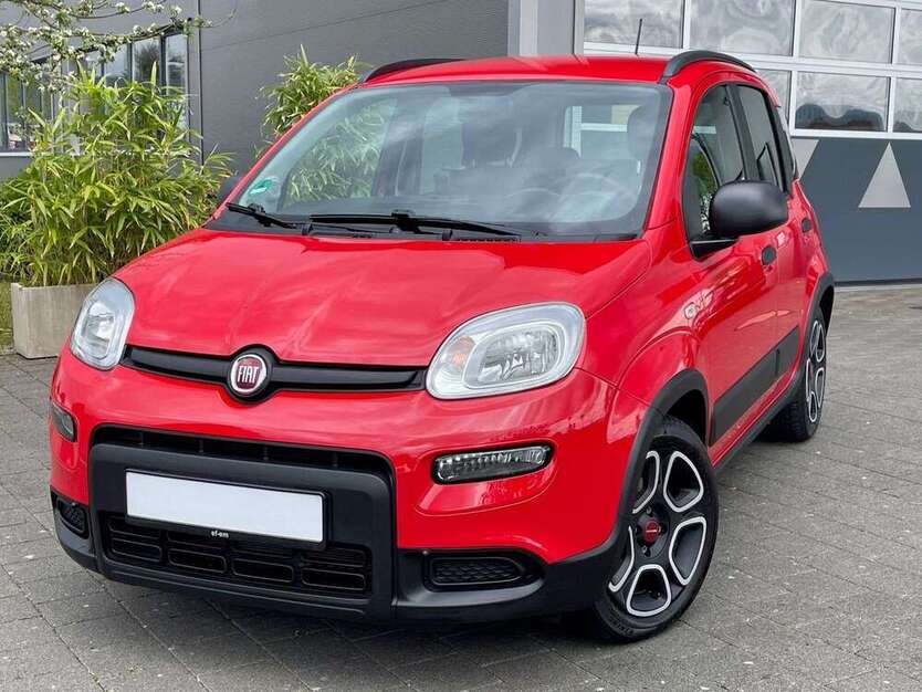 Panda