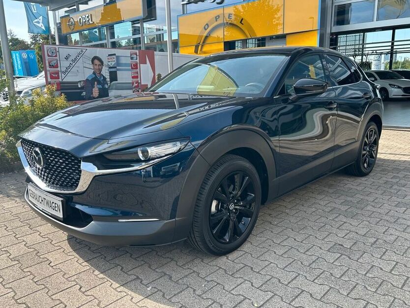 CX-30