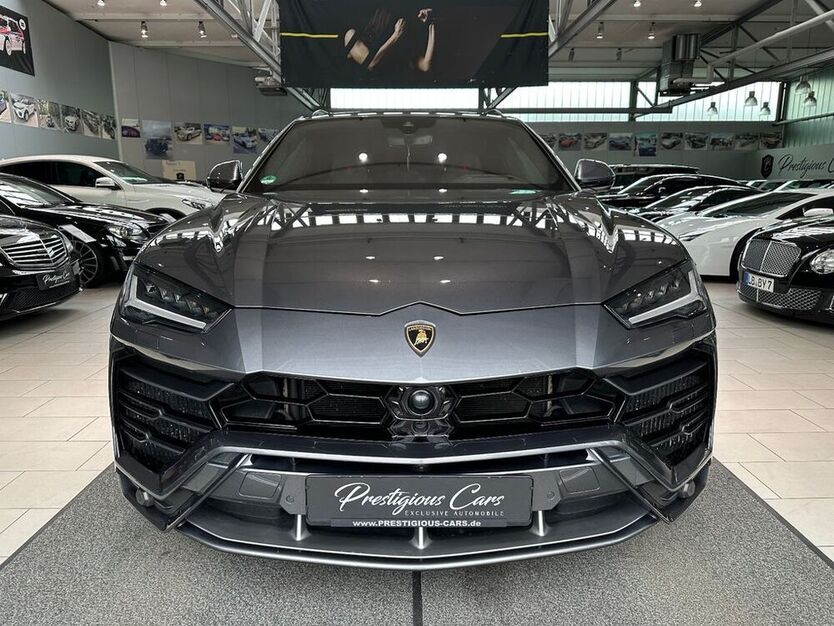Urus