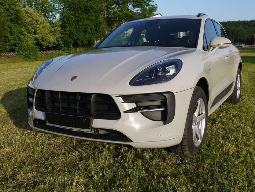 Macan