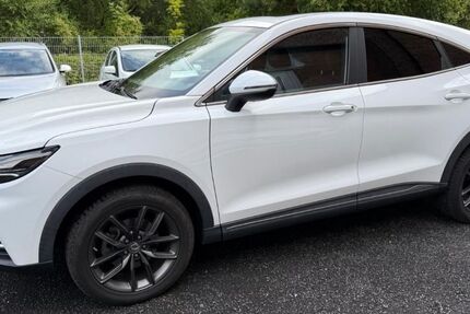 DFSK Fengon 5 84.000 km 13.600 &euro; Schömberg 75328