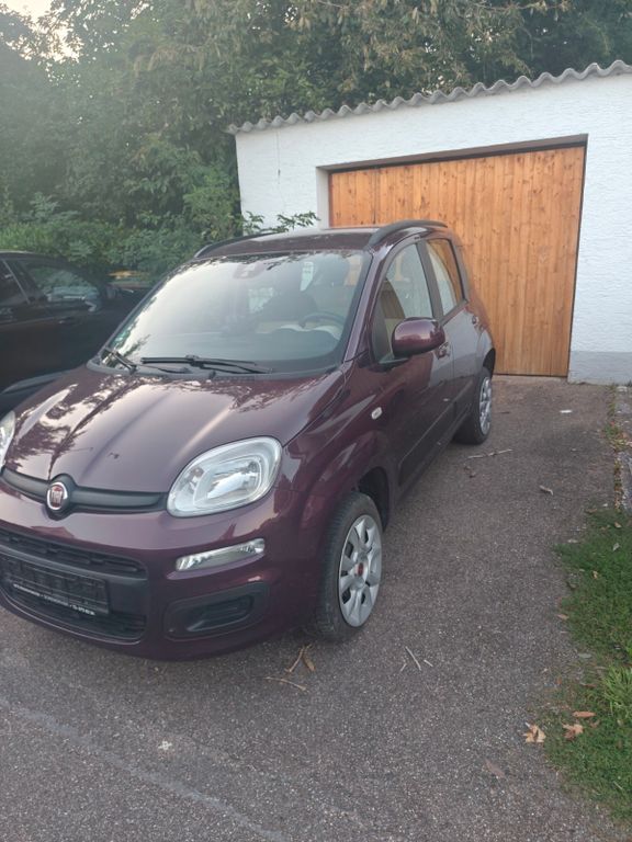 New Panda