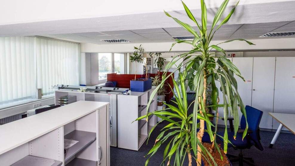 Büroflächen unterschiedlicher Größe in bester Aussichtslage - All-in-Miete zimmer