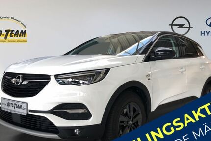 Opel Grandland (X) 79.800 km 14.380 &euro; Herrenberg 71083