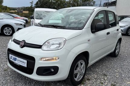 Fiat Panda 70.000 km 7.999 &euro; Filderstadt /bei Stuttgart 70794