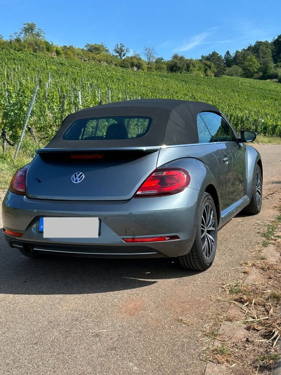 Beetle
