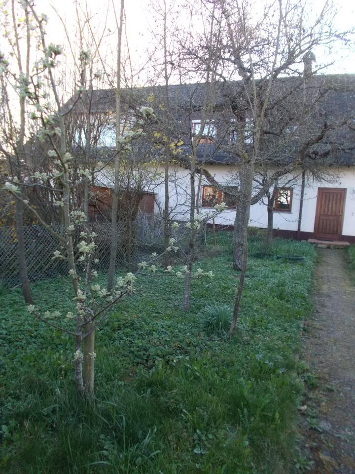 helles Einfamilienhaus mit Terrasse und Garten in Huchenfeld
