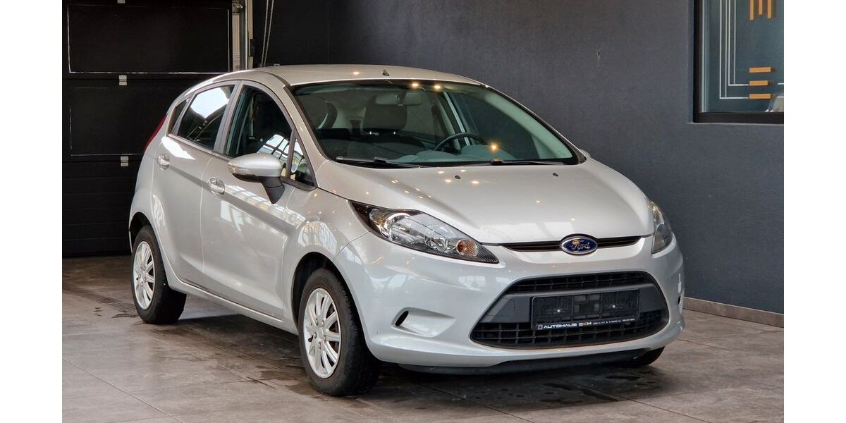 Ford Fiesta 114.150 km 2.999 &euro; Gäufelden 71126