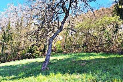 Grundstück Calw-Hirsau Hirsau - 173.000&euro; | Angebot:24116739