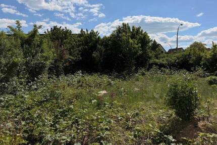 Schönes Baugrundstück in Kernen- Rommelshausen zimmer