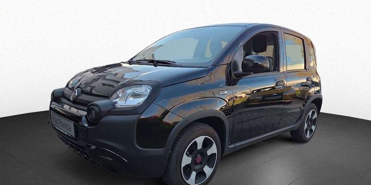 Fiat Panda 36.300 km 11.690 &euro; Pforzheim 75179
