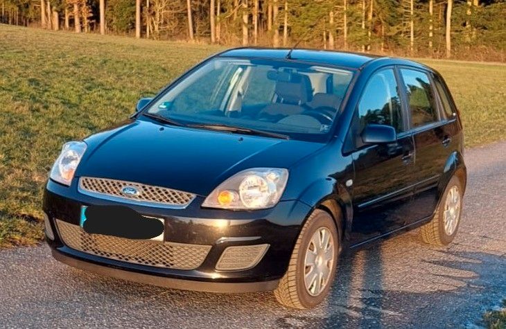 Ford Fiesta 156.204 km 2.000 &euro; Ebhausen 72224