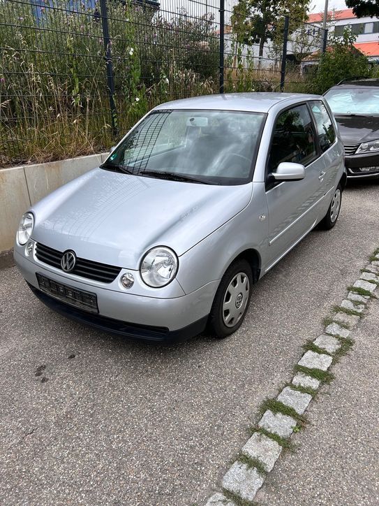Lupo