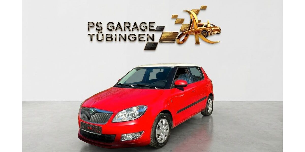Skoda Fabia 219.000 km 2.199 &euro; Tübingen 72074