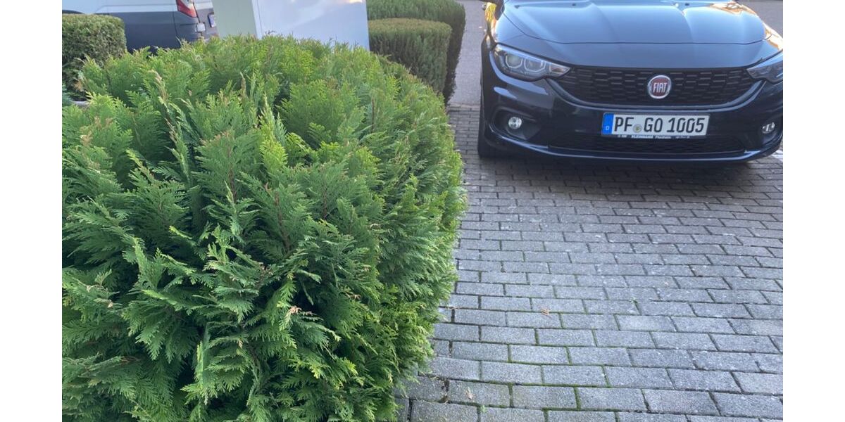 Fiat Tipo 159.000 km 6.495 &euro; Engelsbrand 75331