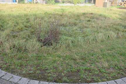 Grundstück zu verkaufen in Pforzheim 239.000 € 503 m² zimmer