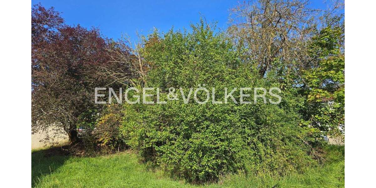 Grundstück Tübingen Derendingen - 660.000&euro; | Angebot:23059487