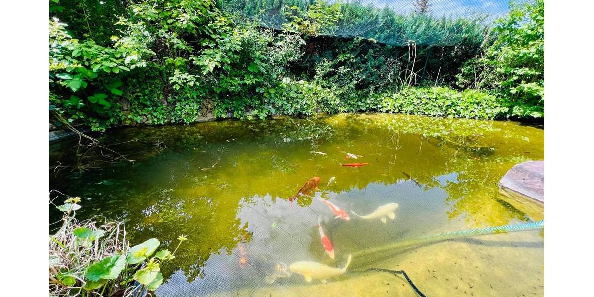 Mehrfamilienhaus, Wohnhaus Schwieberdingen - 8 Zimmer, 202 m&sup2;, 950.000&euro; | Angebot:25706113